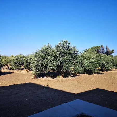 Holiday home Dammusi Di Pietra Luna